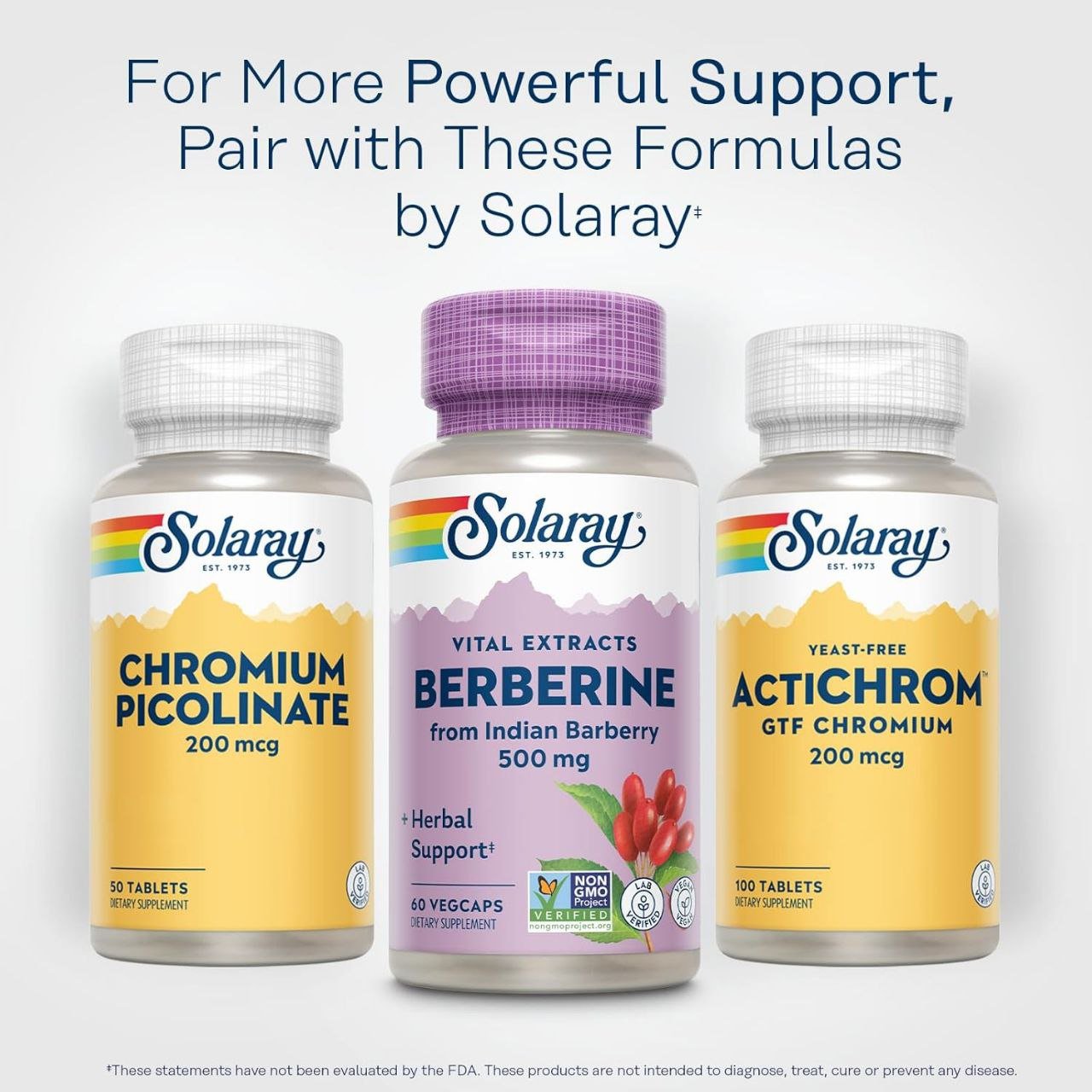 بربرين ٥٠٠ مجم مستخلصات حيوية سولاراي ٦٠ كبسولة نباتية | Berberine 500 mg Vital Extracts Solaray 60 VegCaps - الصورة 6